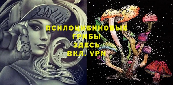 бошки Нягань