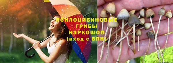 марки lsd Няндома