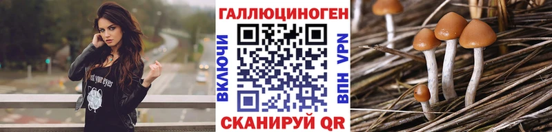 Псилоцибиновые грибы прущие грибы  Ейск 