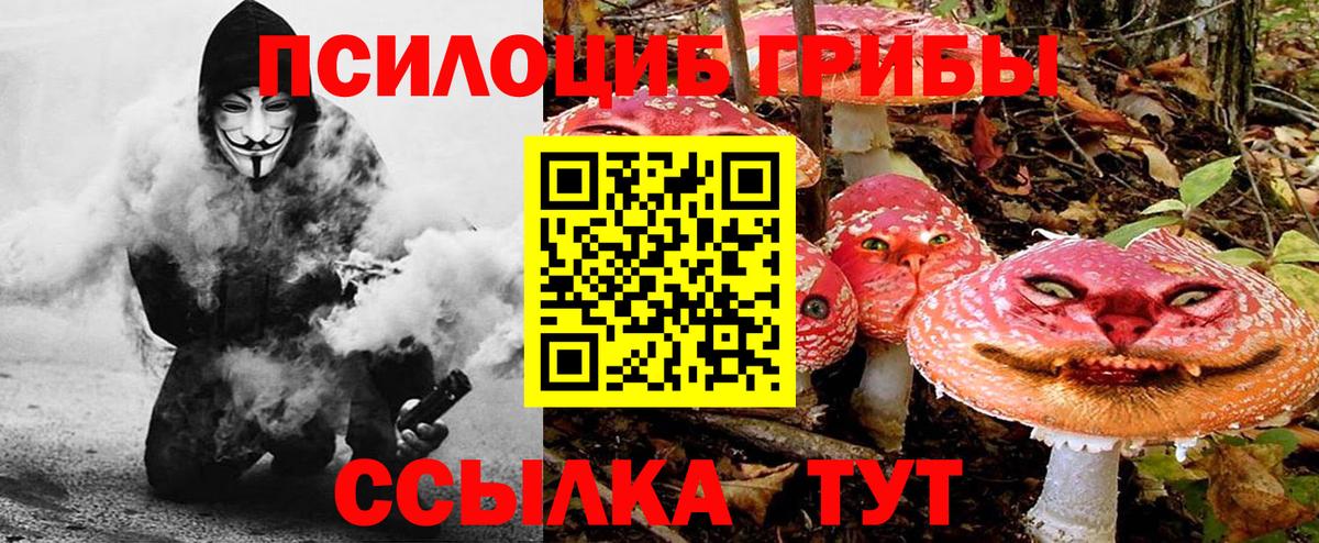 Галлюциногенные грибы мухоморы Ейск